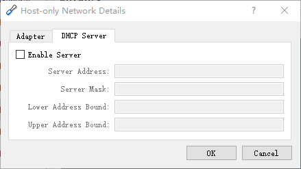 Disabled DHCP for Host-only